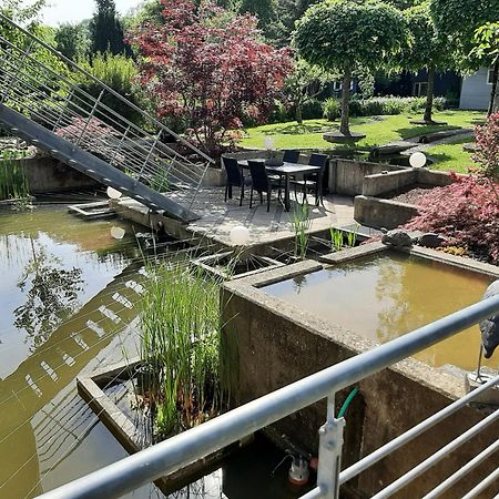 Ferienwohnung Sternenwald Alf Kültér fotó