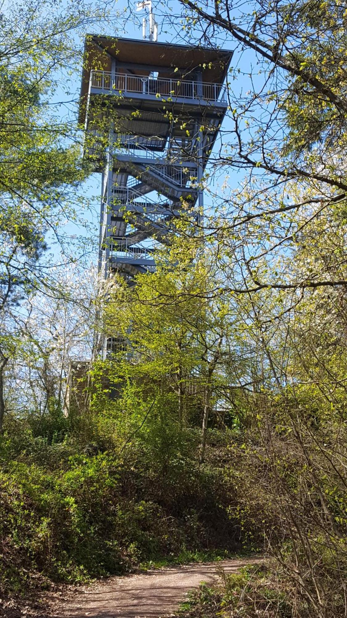 Ferienwohnung Sternenwald Alf Kültér fotó